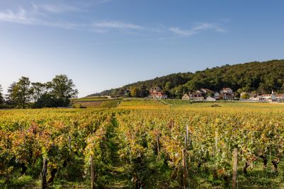 Sale Property Gevrey-Chambertin 18&nbsp;Rooms 700&nbsp;m²