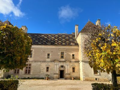 Vente Château Noyers 15&nbsp;Pièces 1300&nbsp;m²