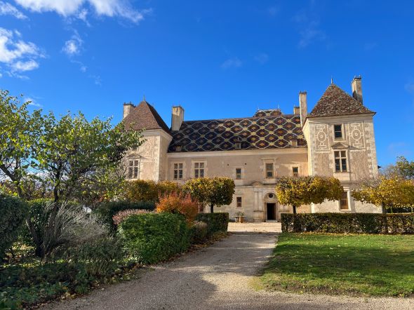 Vente Château Noyers 15 Pièces 1300 m²