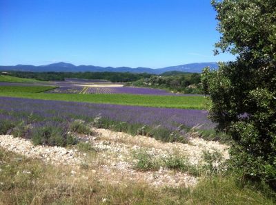 Vente Propriété Grignan 20&nbsp;Pièces 925&nbsp;m²