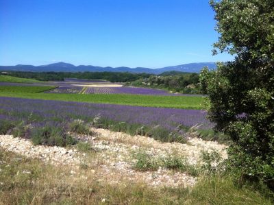 Vente Propriété Grignan 20&nbsp;Pièces 925&nbsp;m²
