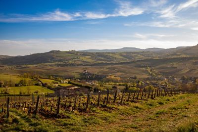 Vente Maison Solutré-Pouilly 10 Pièces 350 m²