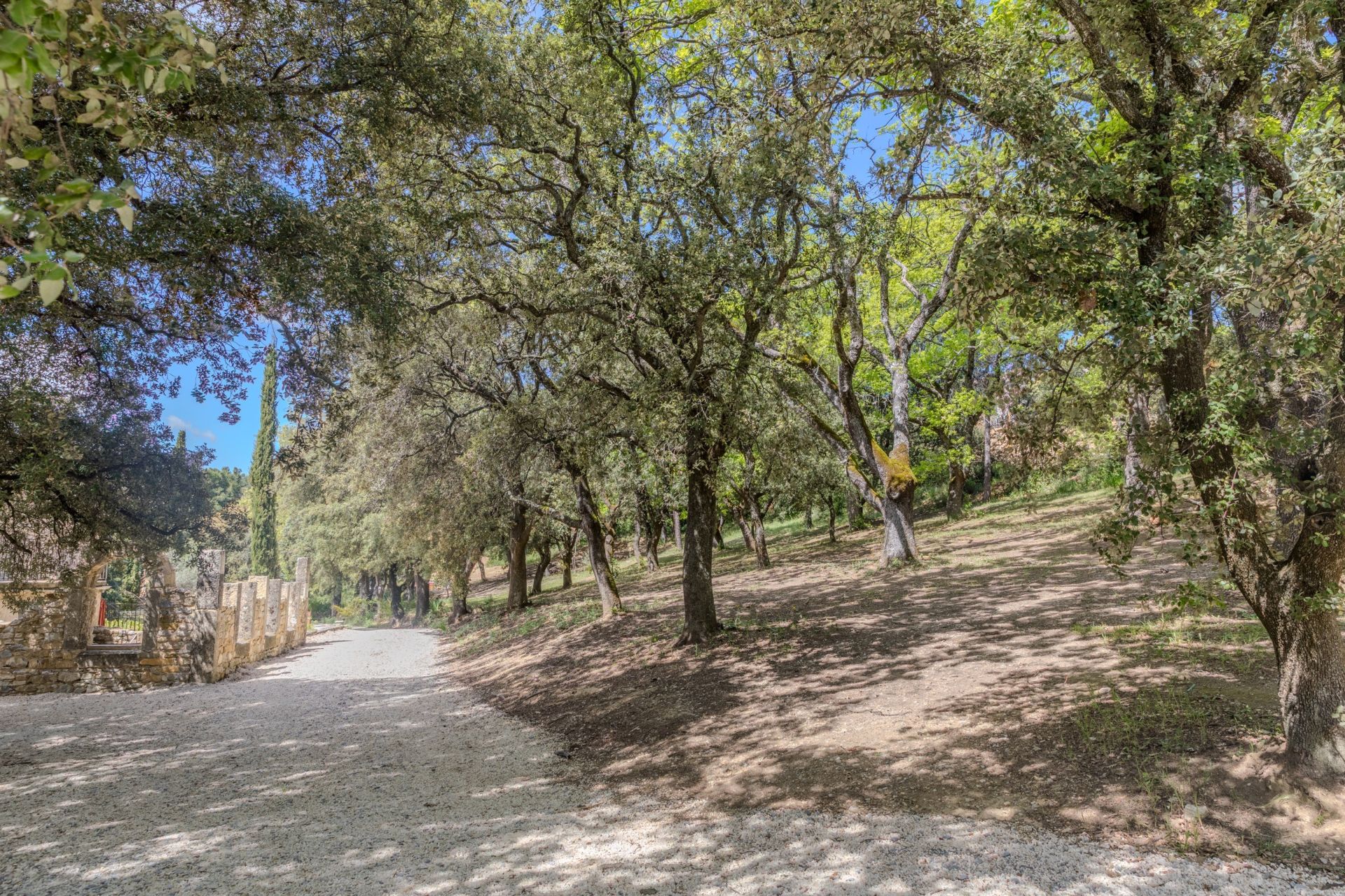 mansion 12 Rooms for sale on NYONS (26110)