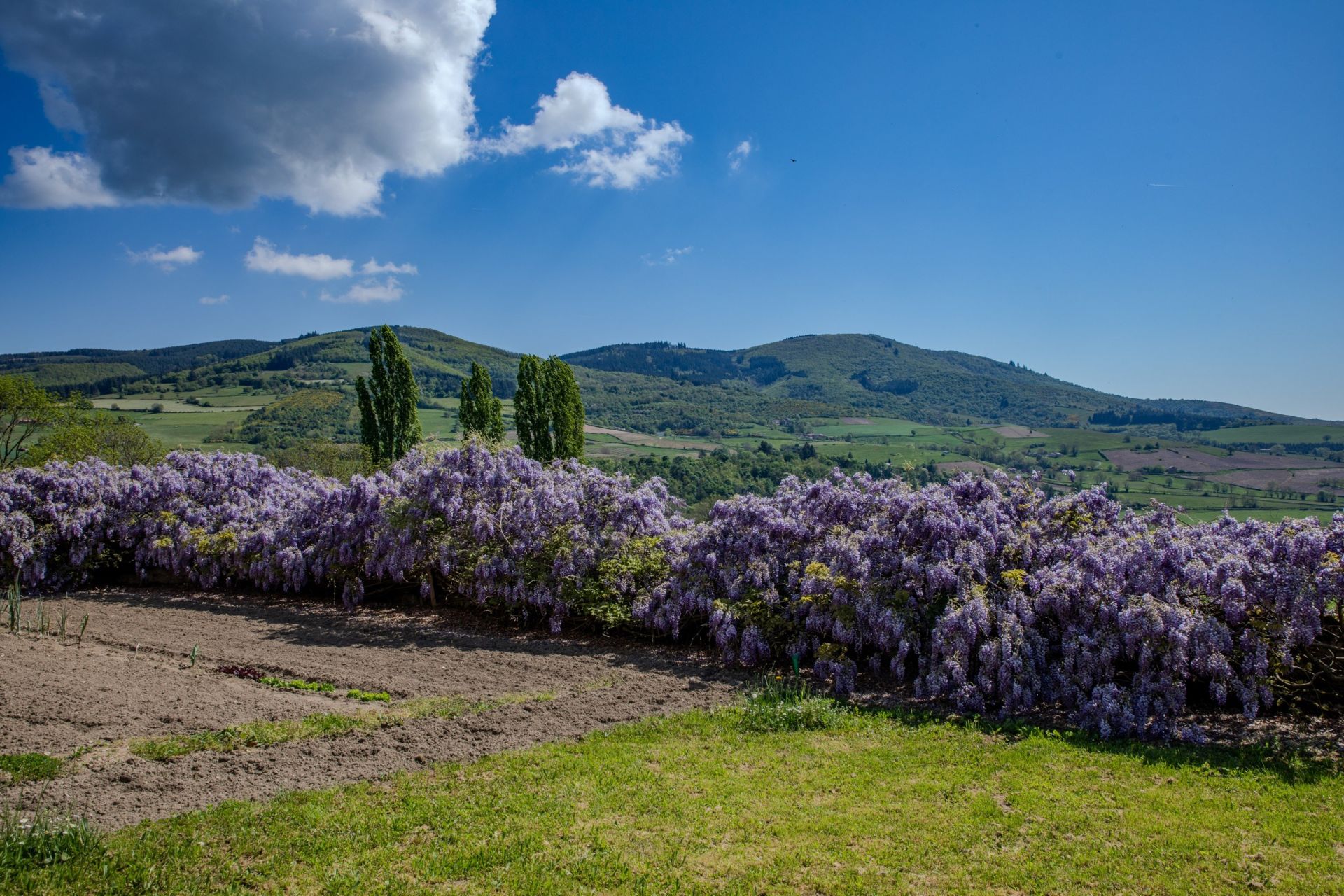 corps de ferme 22 Pièces en vente sur LES ARDILLATS (69430)