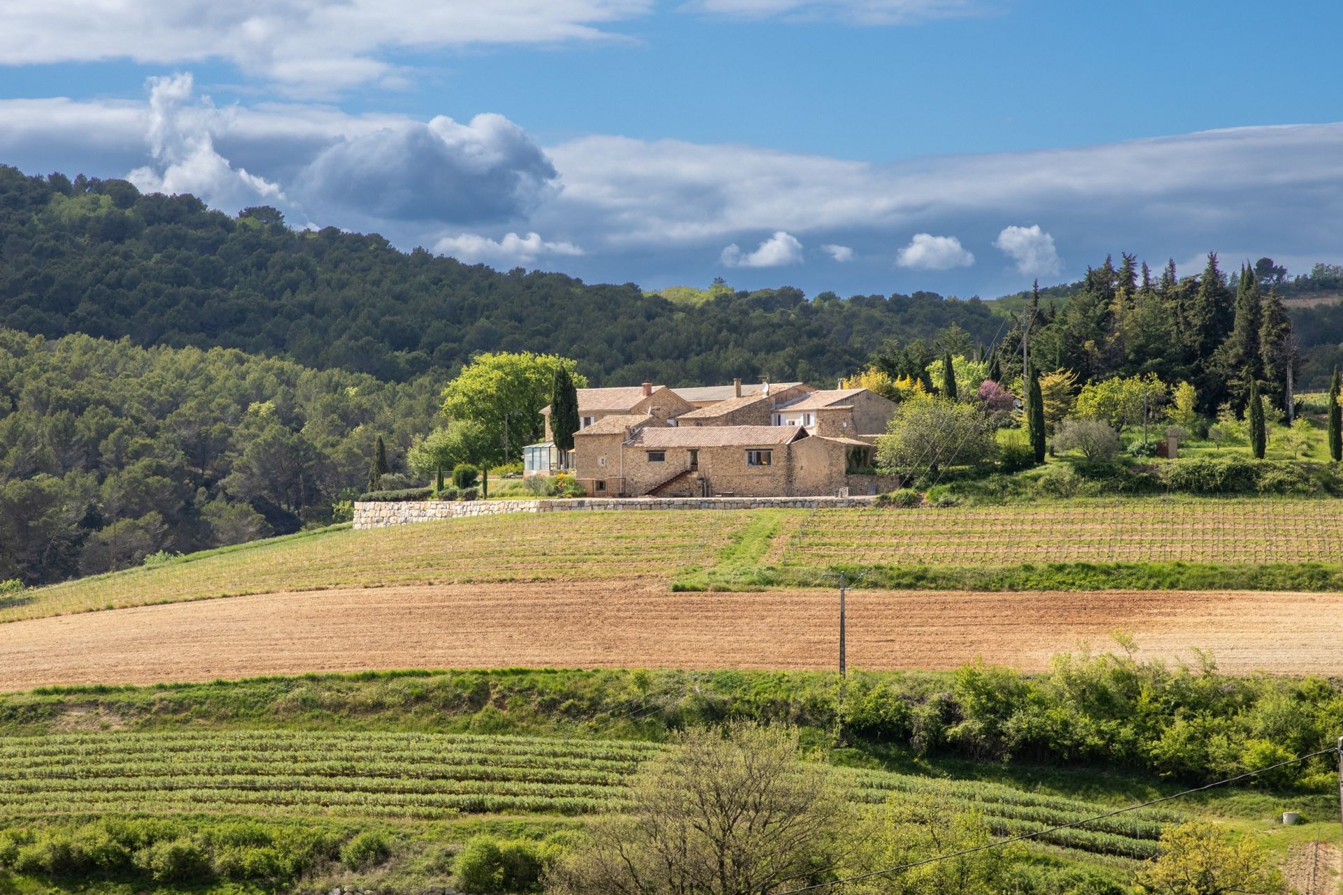 maison provençale 15 Pièces en vente sur NYONS (26110)