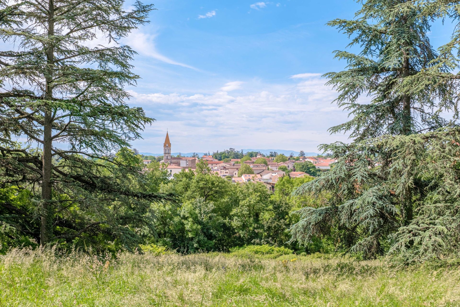 maison bourgeoise 10 Pièces en vente sur BRIGNAIS (69530)