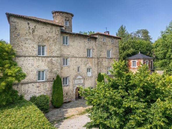 Vente Château Saint-Héand 20 Pièces 430 m²