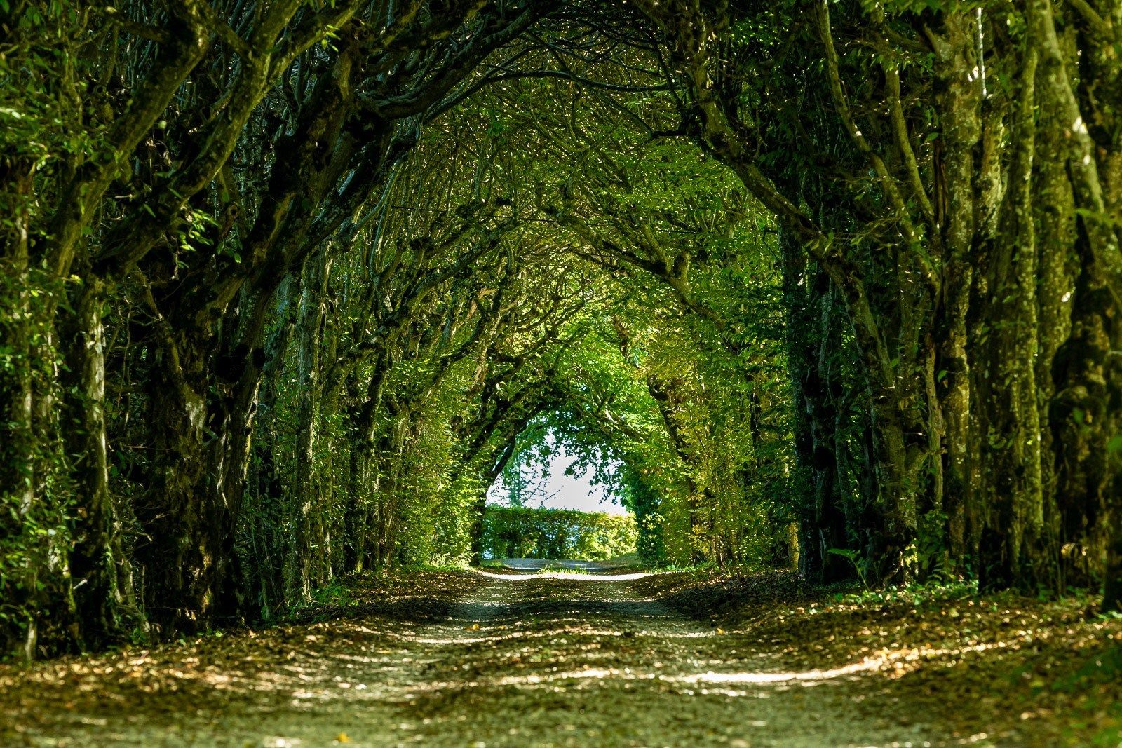 castle 24 Rooms for sale on LES AVENIERES (38630)