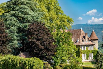 château 24 Pièces en vente sur LES AVENIERES (38630) Vente Château Les Avenières 24 Pièces 820 m²