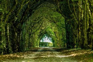 château 24 Pièces en vente sur LES AVENIERES (38630)