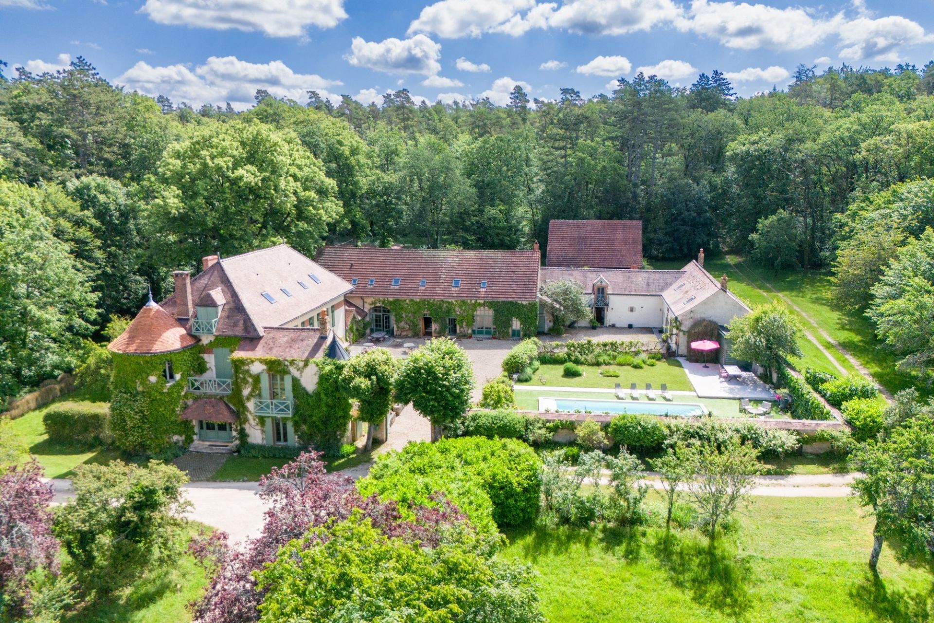 manor house 20 Rooms for sale on NOYERS (89310)