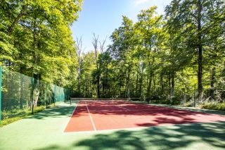 manoir 20 Pièces en vente sur NOYERS (89310)