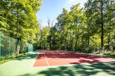 Vente Manoir Noyers 20 Pièces 864 m²