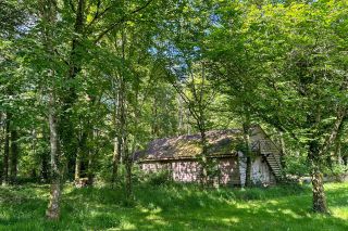 manoir 20 Pièces en vente sur NOYERS (89310)