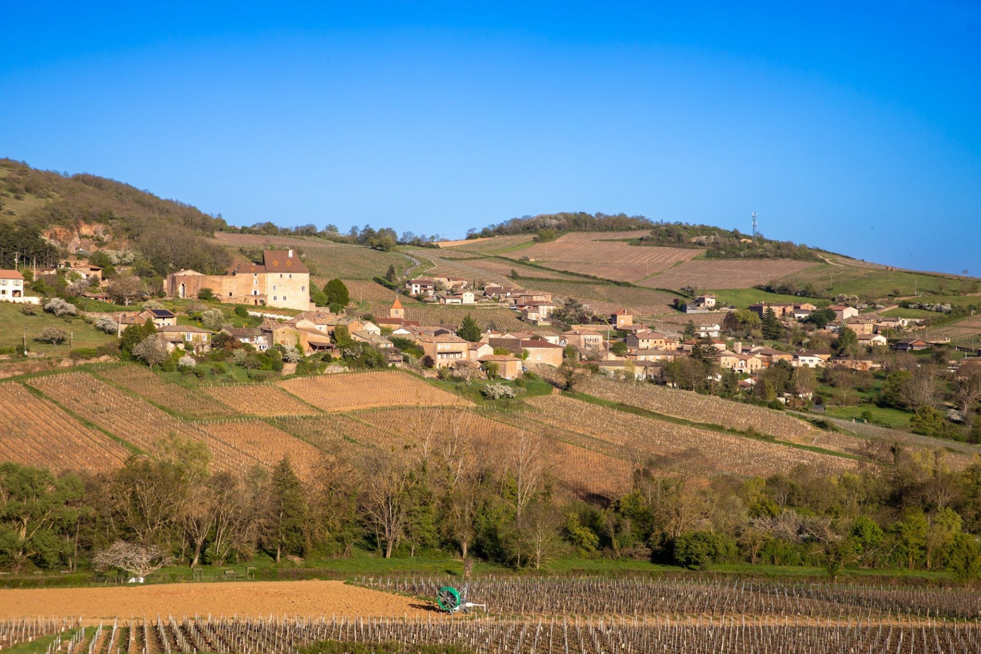 property 12 Rooms for sale on SOLUTRE POUILLY (71960)