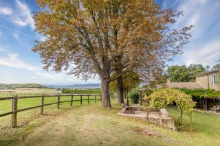 equestrian property 10 Rooms for sale on GRIGNAN (26230)