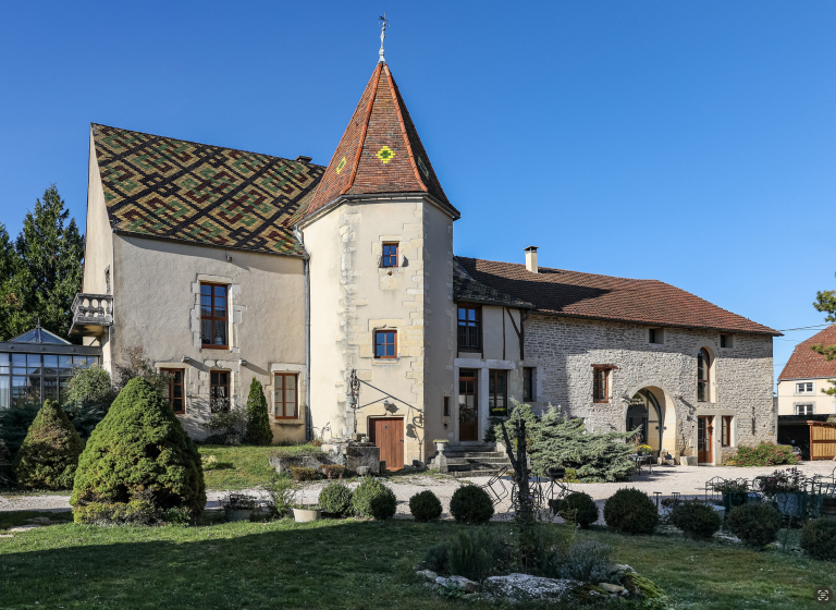 manor house 15 Rooms for sale on DIJON (21000)