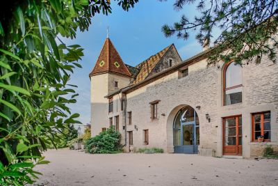 Sale Manor house Dijon 15&nbsp;Rooms 650&nbsp;m²