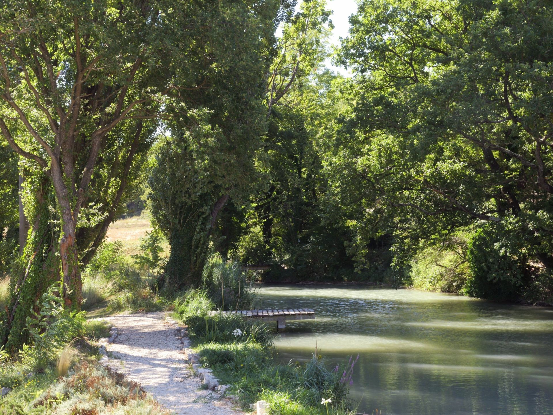 maison 15 Pièces en vente sur GRIGNAN (26230)