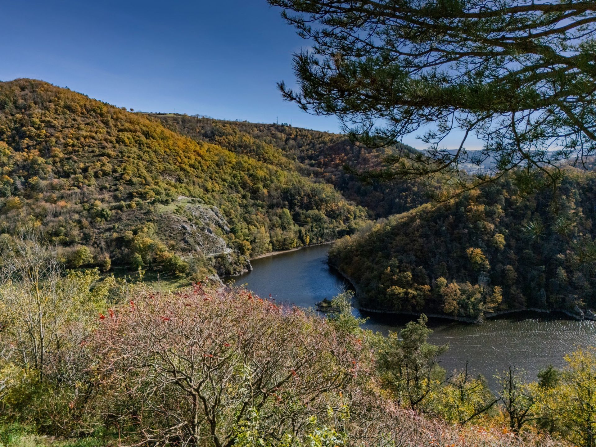 maison d'architecte 8 Pièces en vente sur CALOIRE (42240)