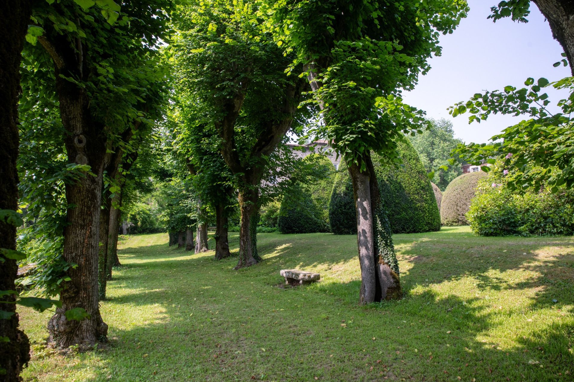 château 20 Pièces en vente sur ST GALMIER (42330)