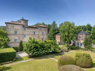 château 20 Pièces en vente sur ST GALMIER (42330)