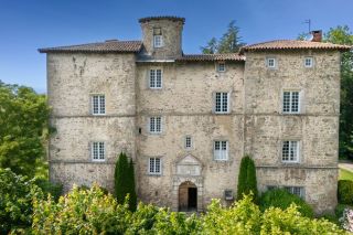 château 20 Pièces en vente sur ST HEAND (42570)