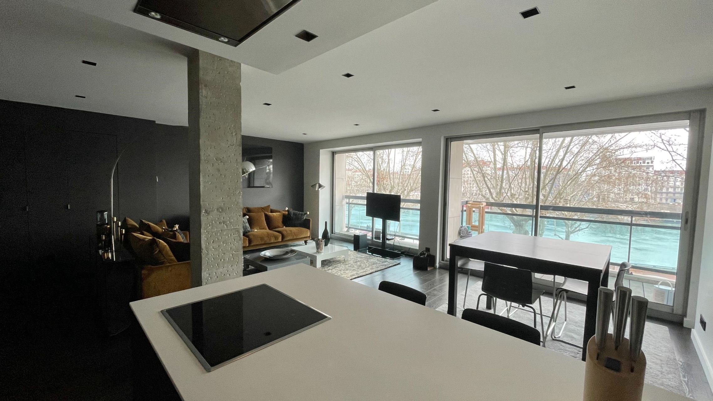 appartement 3 Pièces en location sur LYON (69002)