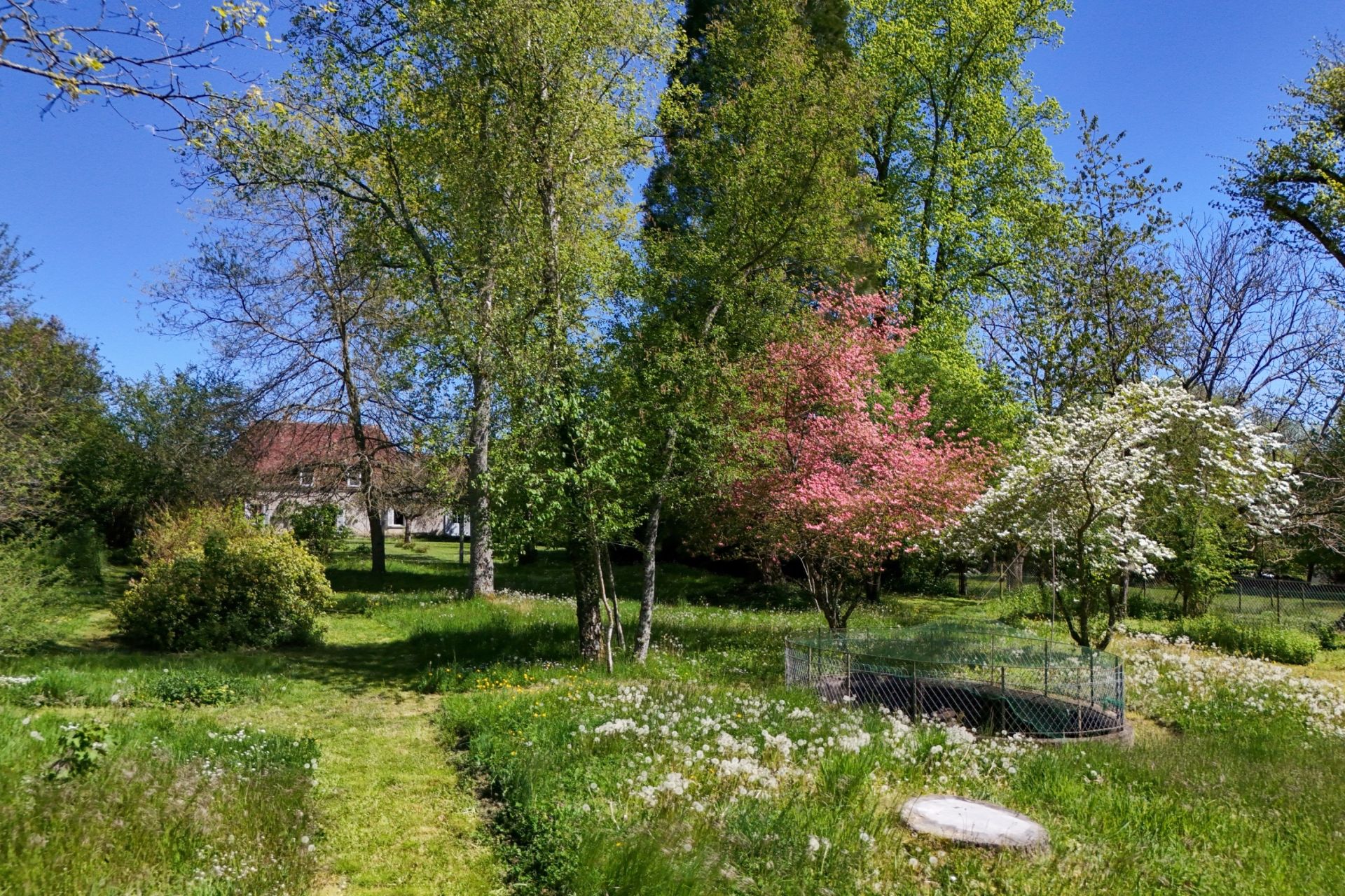 maison 8 Pièces en vente sur CHAROLLES (71120)