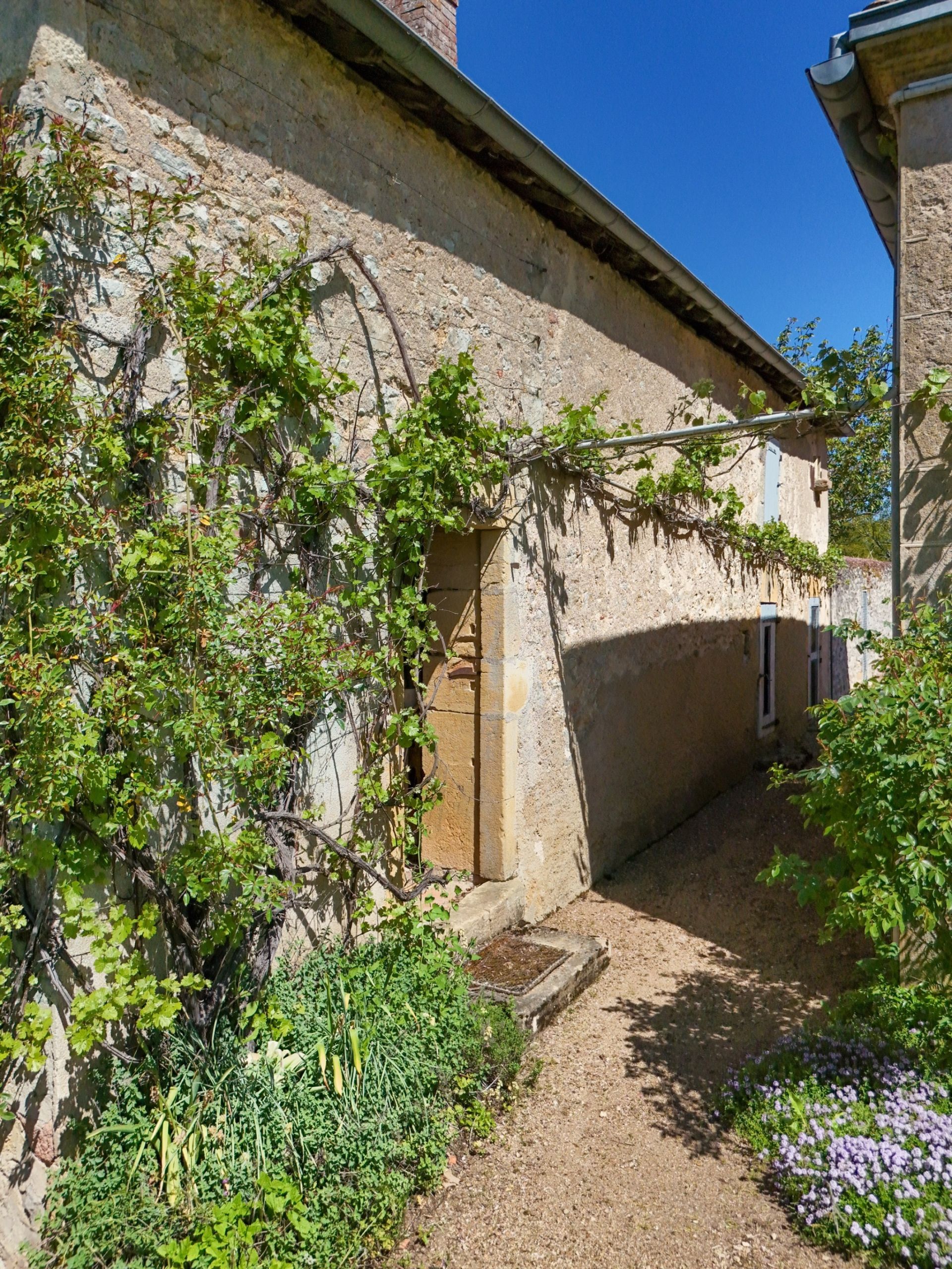 maison 8 Pièces en vente sur CHAROLLES (71120)