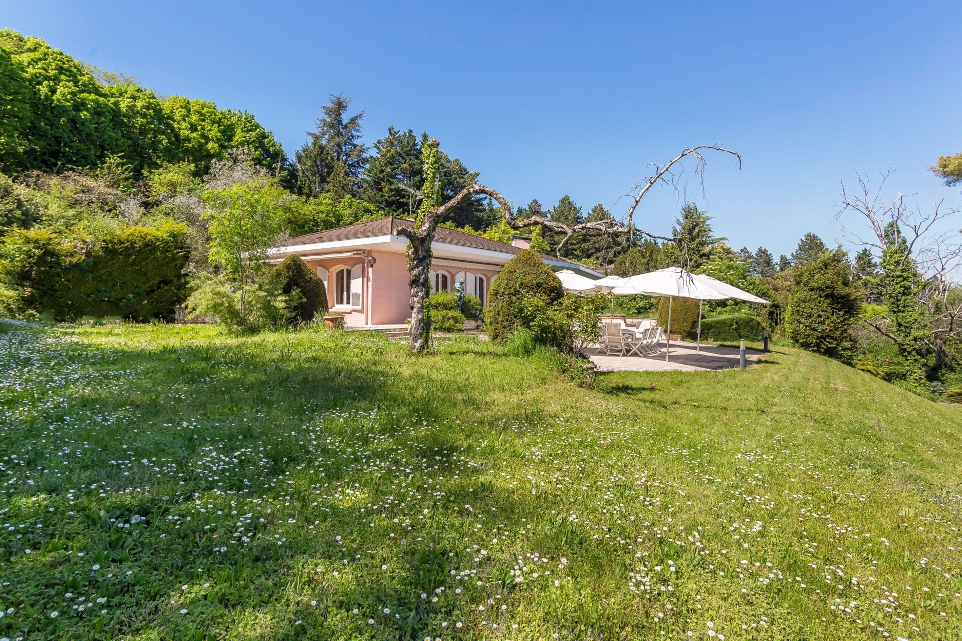 maison 7 Pièces en vente sur ST CYR AU MONT D OR (69450)