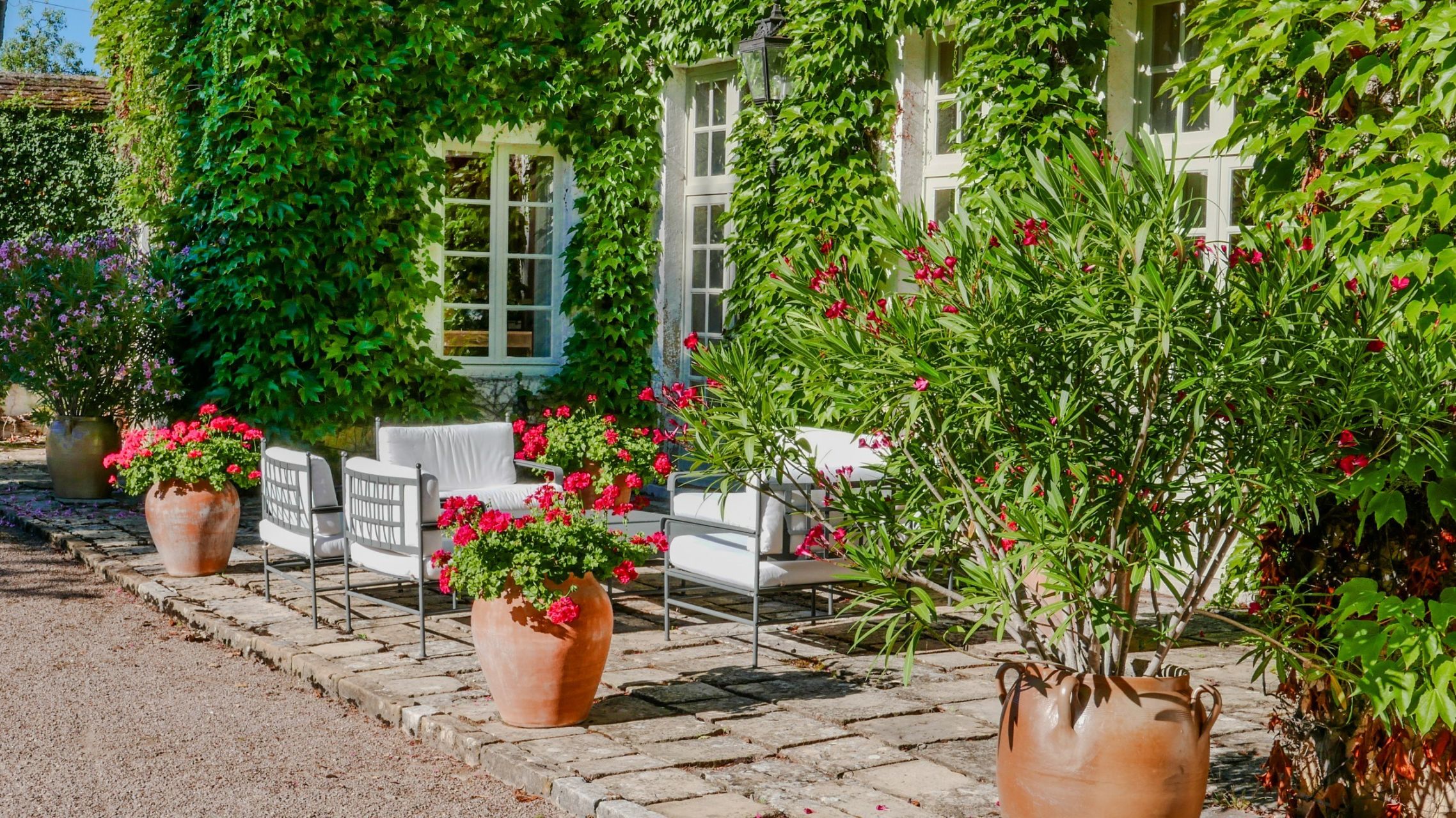 manor house 17 Rooms for sale on VEZELAY (89450)