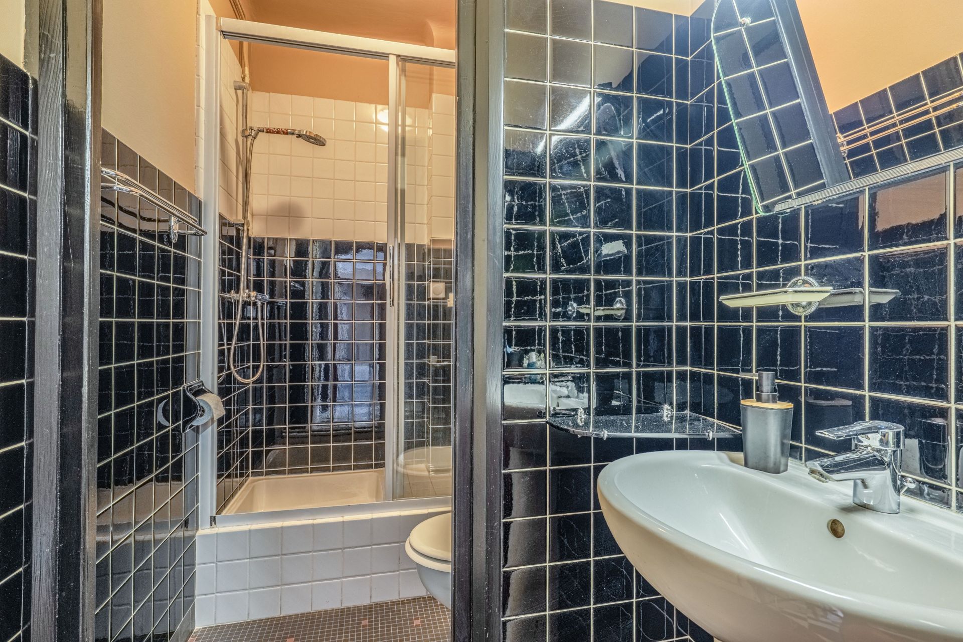 appartement 6 Pièces en vente sur CALUIRE ET CUIRE (69300)