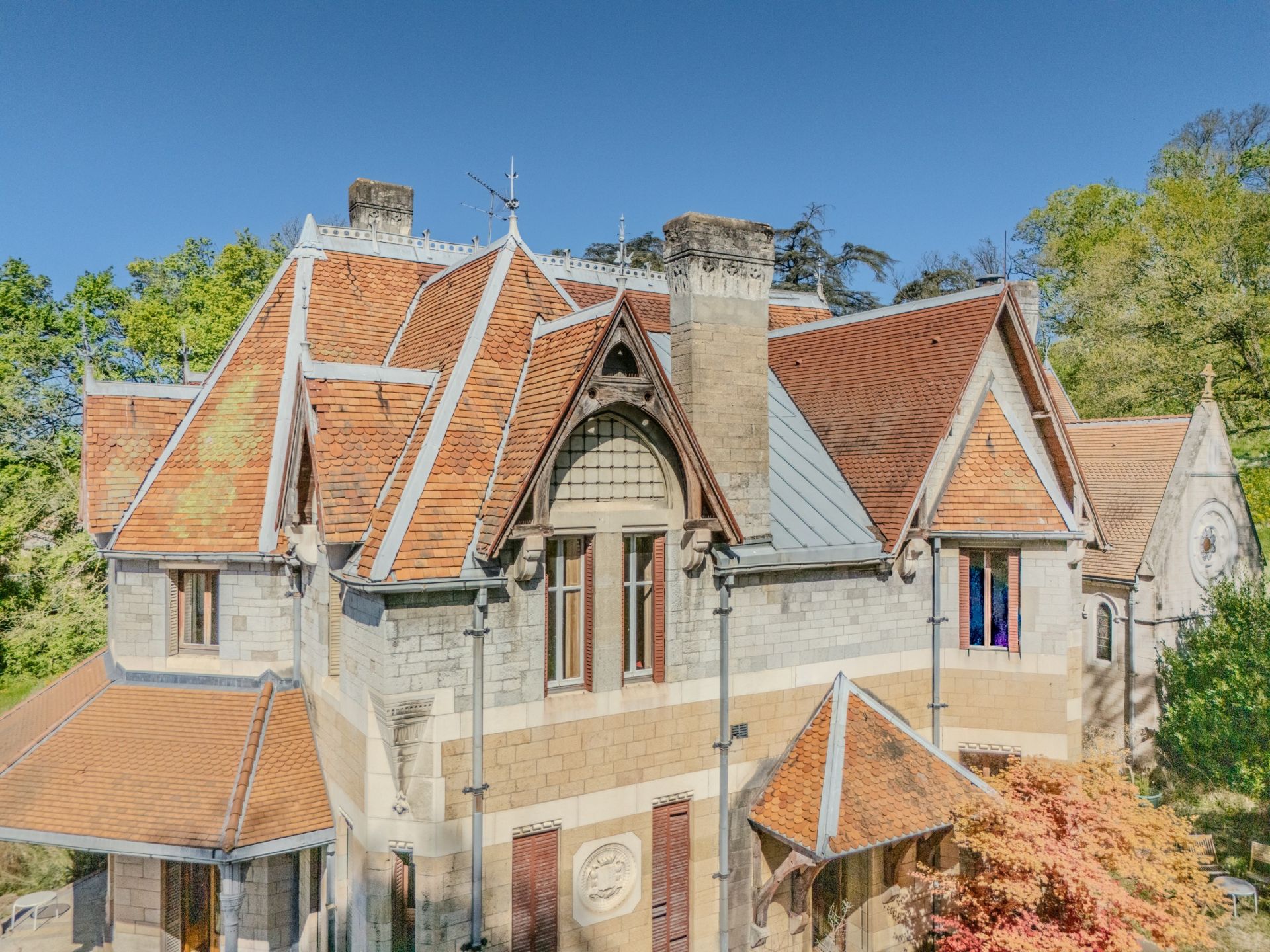 château 22 Pièces en vente sur REYRIEUX (01600)