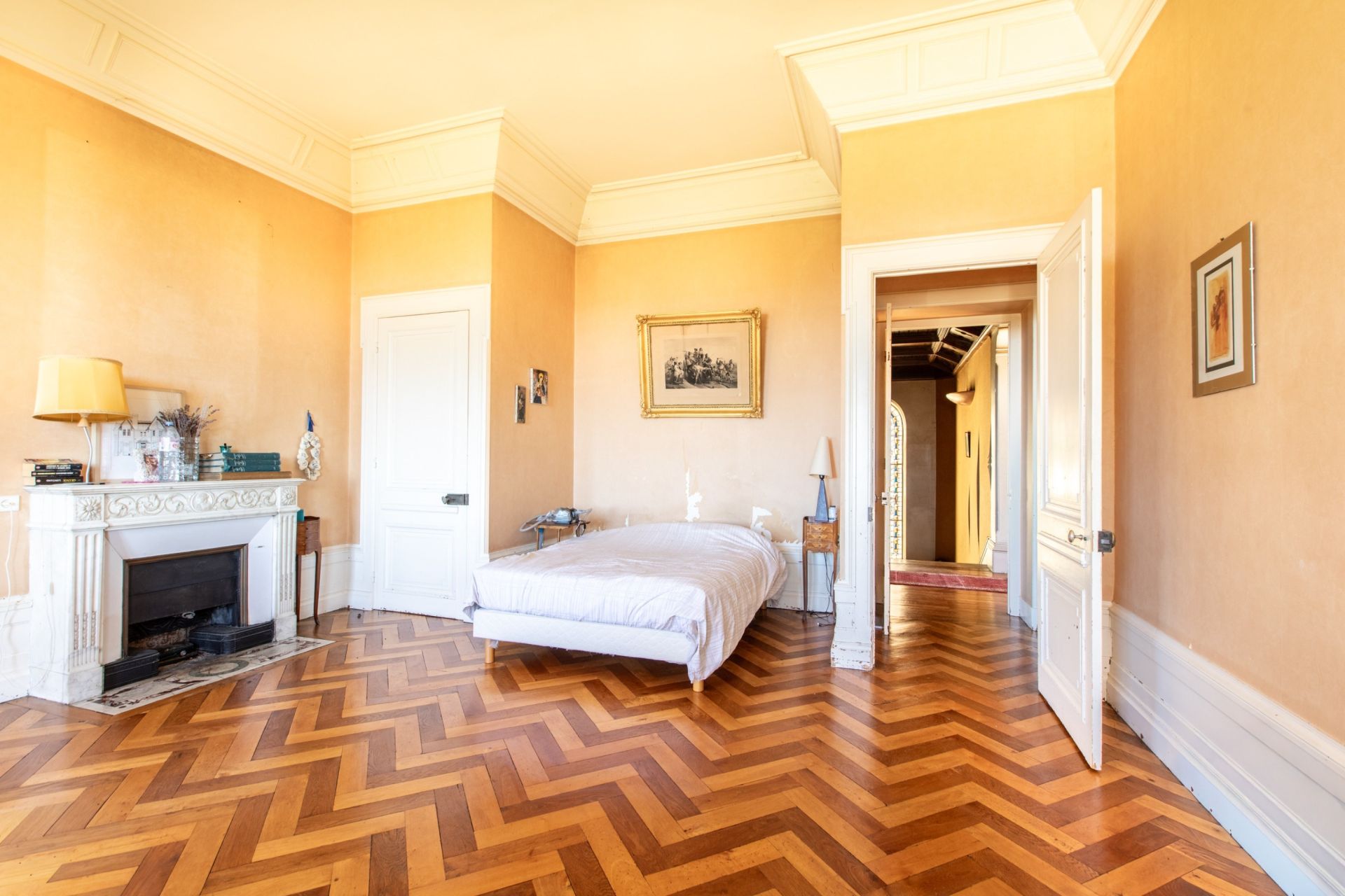 château 22 Pièces en vente sur REYRIEUX (01600)