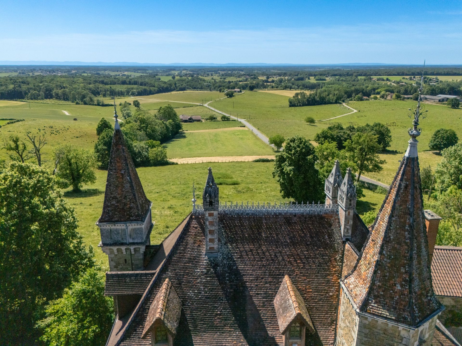 château 14 Pièces en vente sur COLIGNY (01270)