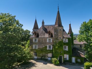 château 14 Pièces en vente sur COLIGNY (01270)