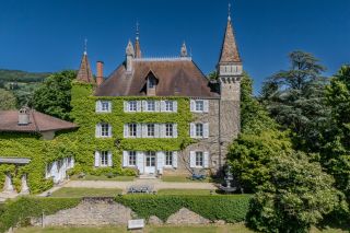castle 14 Rooms for sale on COLIGNY (01270)