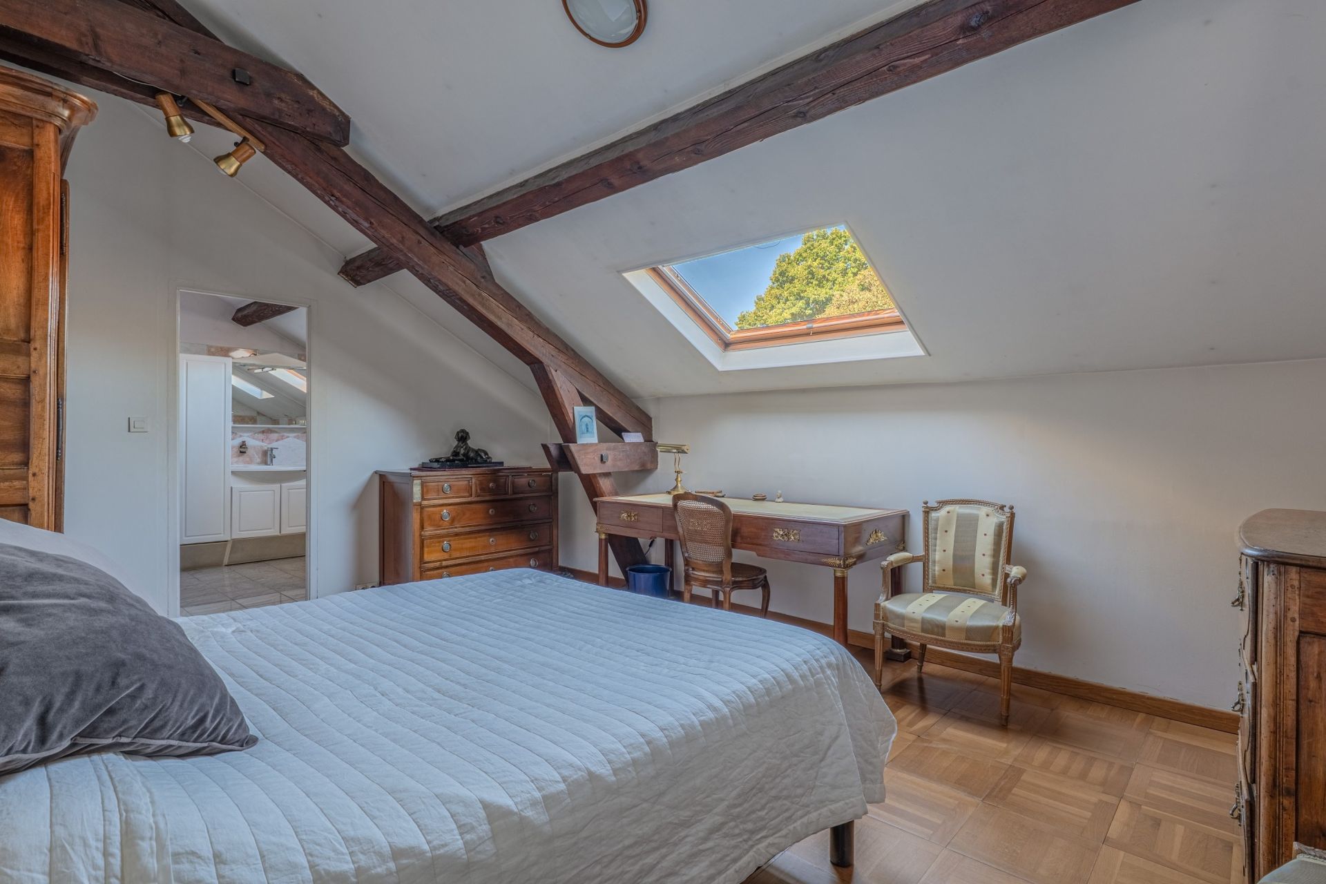 hôtel particulier 9 Pièces en vente sur CALUIRE ET CUIRE (69300)
