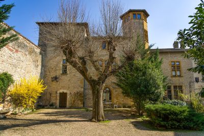 Vente Château Chazay-d'Azergues 10&nbsp;Pièces 500&nbsp;m²