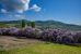 farm complex 22 Rooms for sale on LES ARDILLATS (69430)